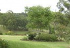 Muskerryresidential-landscaping-40.jpg; ?>